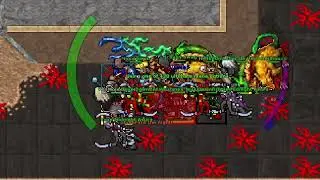 Solidera Tibia Havoc