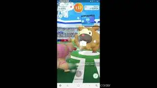 My first raid 5 Solo Bidoof Event