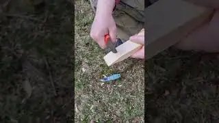 За 1 минуту о длине клинка Morakniv Eldris против Клык-2 от Русский Булат @rusdamask