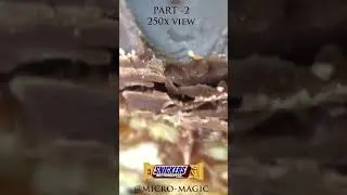 snickers butterscotch part 2 #shorts #unboxing #snickers #cadbury #senorita #wc2023 #tiger3