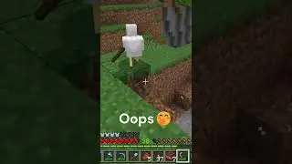 TNT Chicken Explosion🧨🐔💥