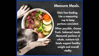 It&rsquo;s Pet Obesity Awareness Day