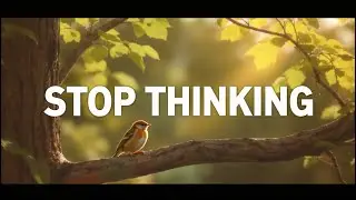 LIVE 24/7 🌿 Healing Piano Music with Gentle Water Sounds|Relaxation,Focus,Stress Relief & InnerPeace