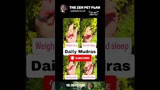 4 Mudras to Transform Your Look & Feel 💅