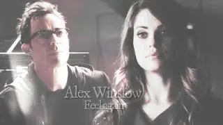 Alex Winslow (Feat. Harry & Team Flash) | Feel again