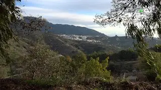 MÁLAGA CARRETERA Y MANTA, YUNQUERA