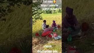 Rural life | Village cooking lifestyle| Nepali village