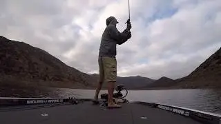 Phenix Baits Jig Sept 2019