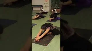Why is Proper Alignment Important in Yoga Asana?🤔