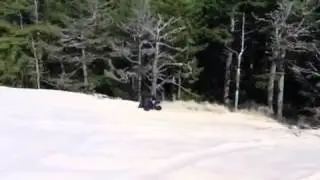 HJR 4mill banshee tree shot