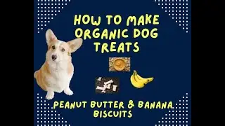 How to Make Organic Low-Fat Dog Treats: Healthy Recipes for Your Pup