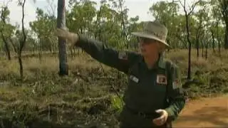 Undarra Lava Tubes, Australian Travel Video Guide
