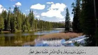سورة النمل من الآية 6 حتى الآية 19 بصوت القارئ أحمد سعود العتيبي