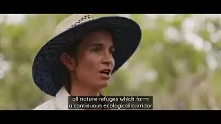 Crystalvale nature refuge - short video