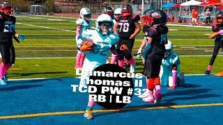 Damarcus Thomas II 2024 season highlights #32 RB/LB TCD PW