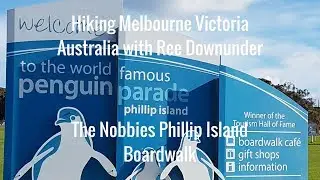 HIKING IN MELBOURNE -The Nobbies Penguin Parade  Phillip Island