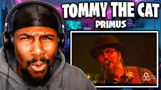 GREAT SOLOS!! | Tommy The Cat (Live) - Primus (Reaction)