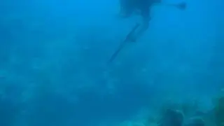 Buceo Cayo Arenas