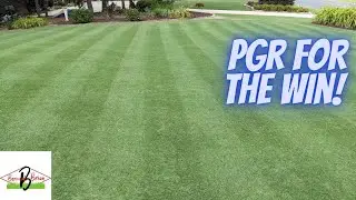 PGR Positive Results