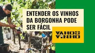 Momento nerd no 'Vamos de Vinho': saiba o que &eacute; 'grand cru' e 'premier cru' na Borgonha