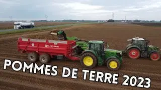 Pommes de Terre 2023 🥔
