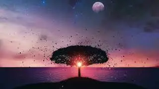 Meditation Music | Remove Unwanted Thoughts and Emotions | Find Yourself | Chakra Cleansing