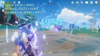 C0 Ganyu with Shenhe R1 Skyward Spine - Damage Test