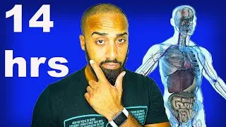 New intermittent fasting study looks at the power of a 14 hour fast?