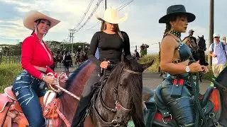CABALGATA de Ferias de LA MARINA 2026 | Cabalgatas 4k