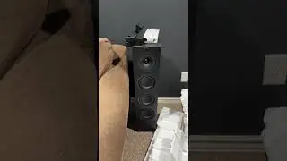 Advanced Audio Setup: Installing 3 TVs and Speakers #hometheater #mediaroom