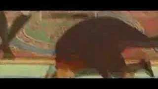 tekkon kinkreet AMV