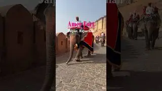 Amer Fort, Jaipur 🕊️🦚✨