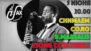 Снимаем соло Some Cow Funk