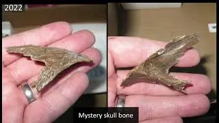 6th Annual Field Report - Badlands Dinosaur Museum