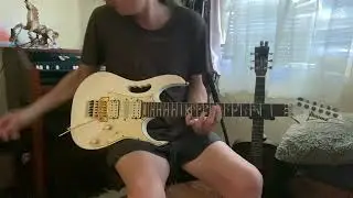 Steve Via Signature Ibanez Jem 555 As Seen on Facebook Marketplace