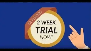 Is Gold In A Bull Trap?