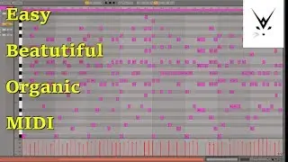 PUSHING BOUNDARIES with MIDI | using midi effects for rich organic progressions