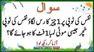 Top Islamic Questions Answers | Islamic Quiz | Islamic Paheliyan | Islami Sawal Jawab | Urdu Quiz