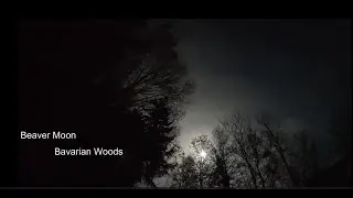 Beaver Moon Fades into the Fog   Bavarian Woods 4K Timelapse