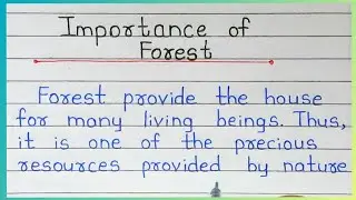 Importance of Forest Essay in English | Essay on Importance of Forest | Forest Essay in English