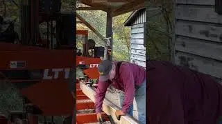 #короткоевидео! Снимаем с лесопилки третью кромочную доску из #белогодуба!