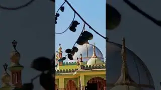 NAGANI SARKAR 🤲🤲😍😍