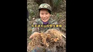 这段时间老公特别的累，人也有一点虚，今天抽个空到大山里头挖的野生的黄精回来炖鸡汤给老公补补#农村生活 #记录真实生活 #平平淡淡小日子 #我的乡村生活 #大山里的山活