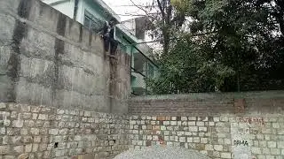 NOVIN JOSHI NJ masti time rampur bsr || live updates ||