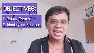Copula and Its Function
