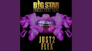 Just 2 Flex (feat. Zoocci Coke Dope)