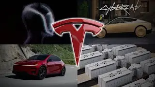 Почему владельцам автомобилей Tesla нужен был консультант другого типа?