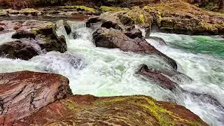 What if Listening to Waterfall Sounds Could CHANGE Your Life?🌿Vital Nature Sounds