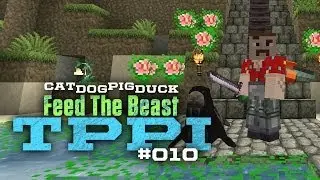 FTB TPPI Modpack - Automating Pink Dye Production Auto Workbench - 010