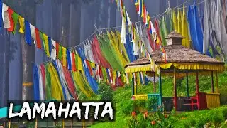 Lamahatta || Lamahatta Eco Park || Best tourist Place in Darjeeling